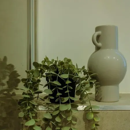 Apartman Hotwells Flat 3 - Hopewell *